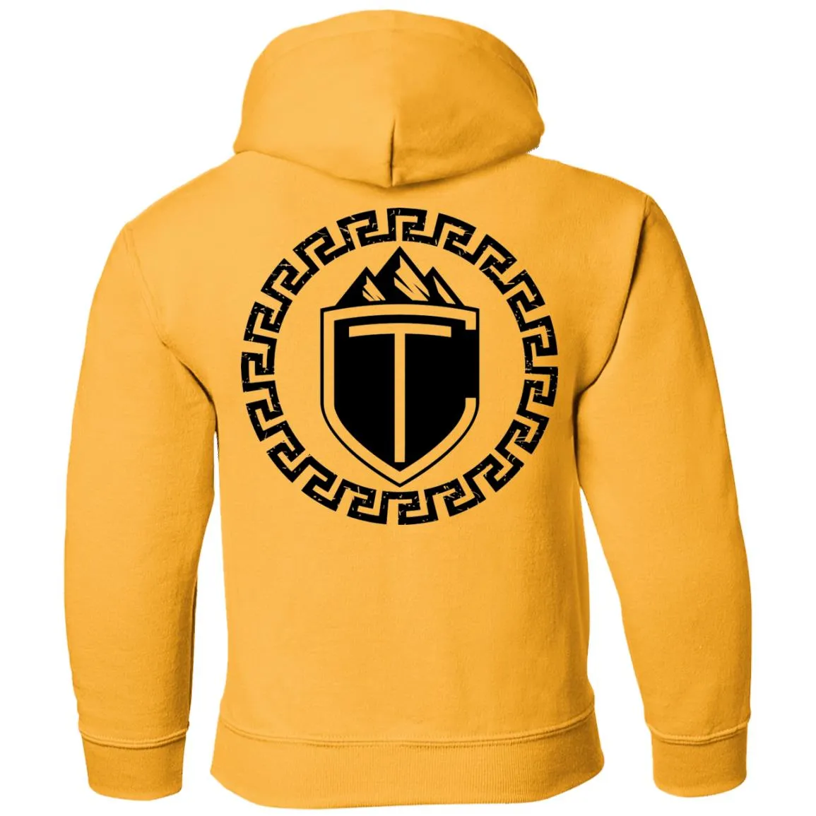 CT Shield: Youth Hoodie