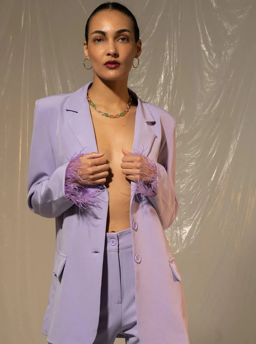 Feather Sleeves Boyfriend Blazer