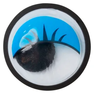 Googly Eye Jibbitz