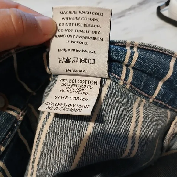 HOST PICK! Boyish Striped Jeans / The Carter / They Made Me a Criminal / Size 29