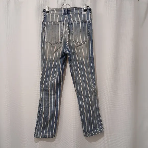 HOST PICK! Boyish Striped Jeans / The Carter / They Made Me a Criminal / Size 29