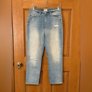Hudson High Rise Zoeey Straight Crop Denim Jean Size 29