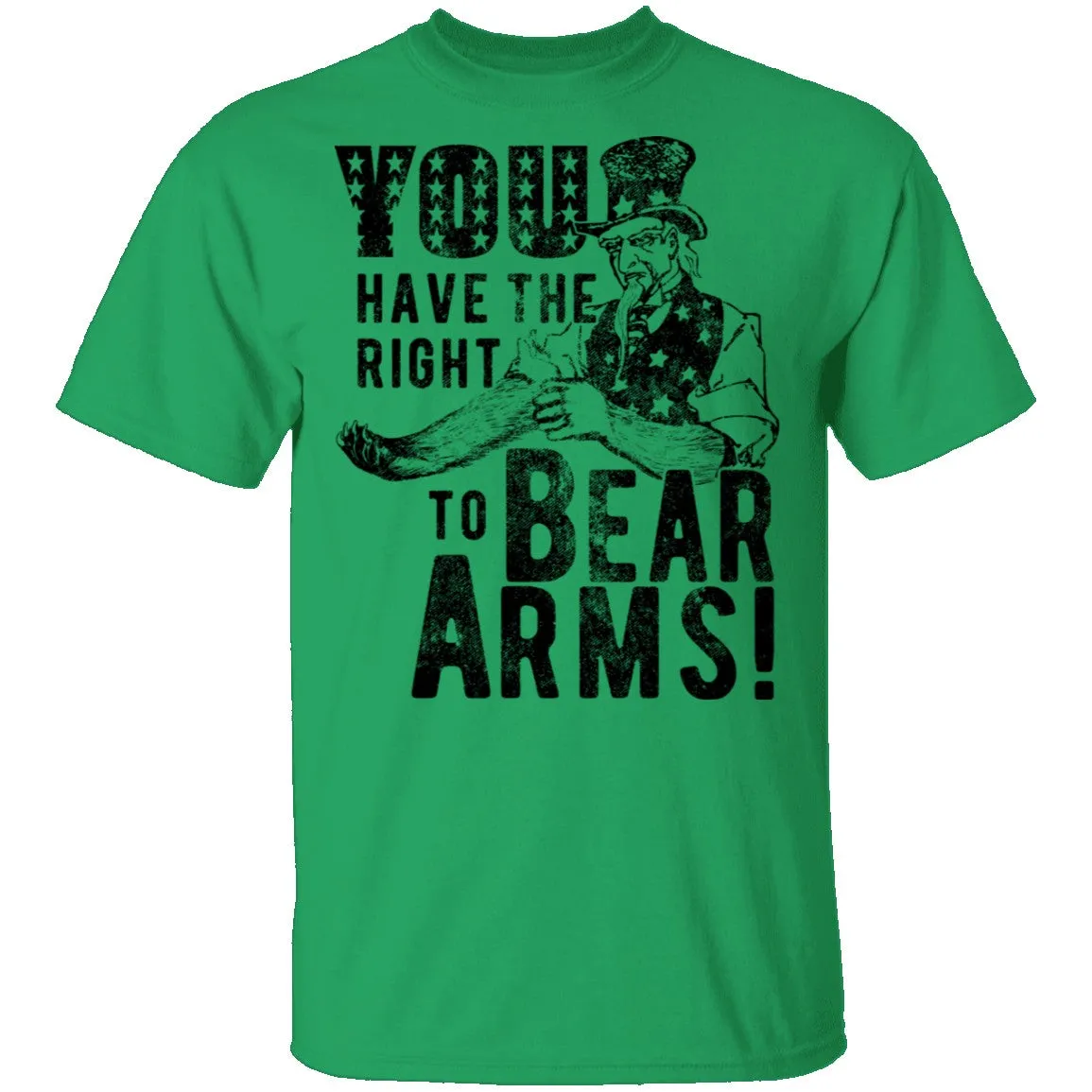 Right to Bear Arms T-Shirt