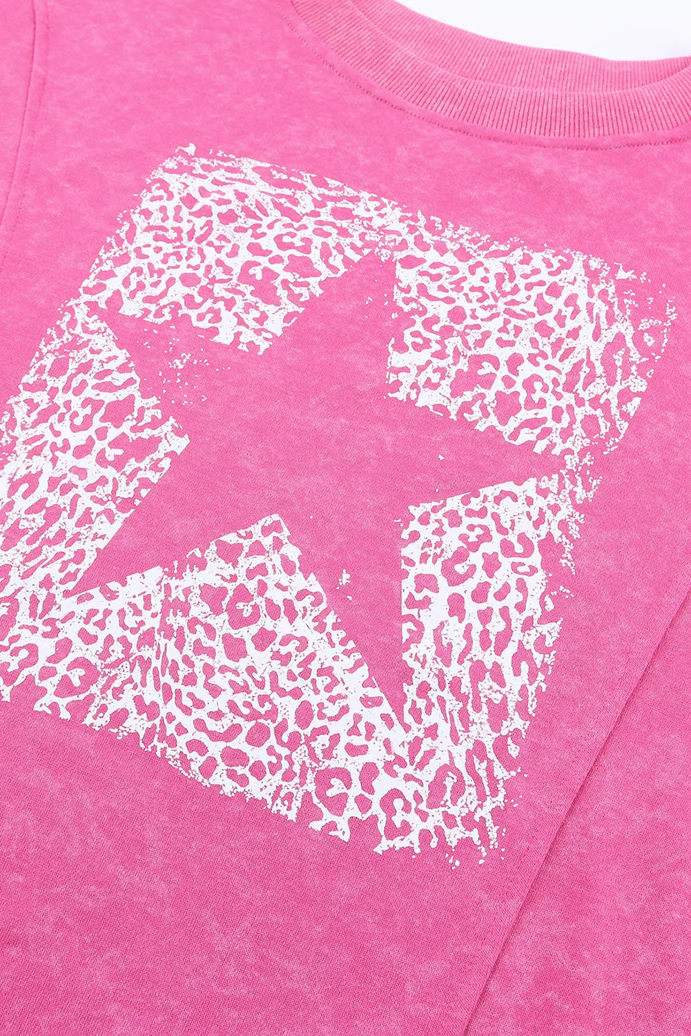 Rose Leopard Star Graphic Print Long Sleeve Sweatshirt